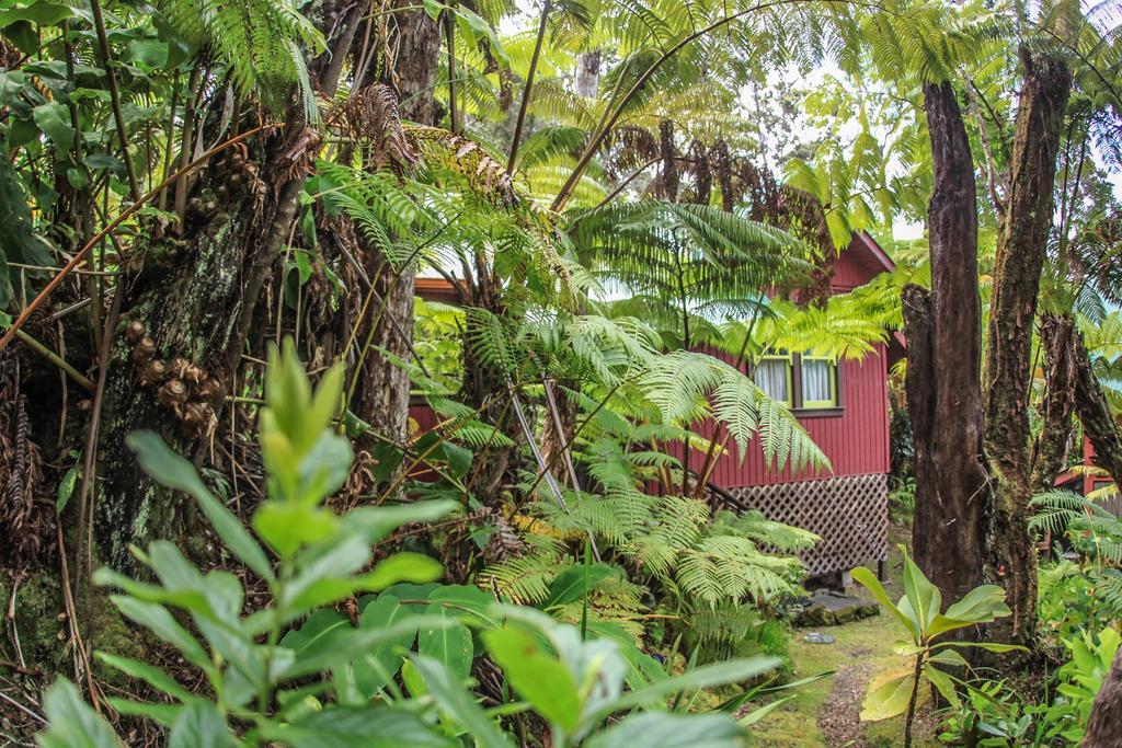 Ferny Hollow: Romantic Rainforest Cottage Volcano Exterior photo