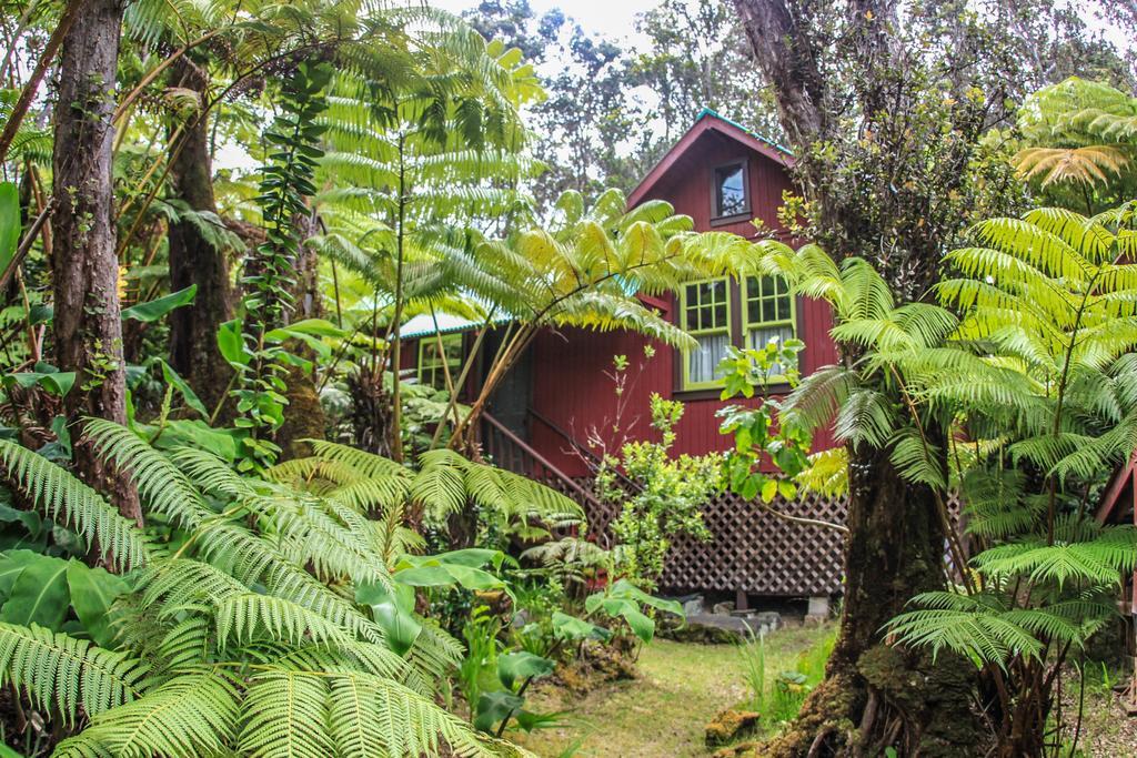 Ferny Hollow: Romantic Rainforest Cottage Volcano Exterior photo